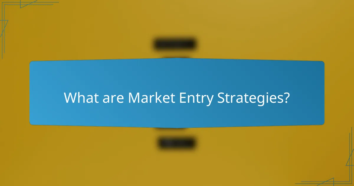 What are Market Entry Strategies?