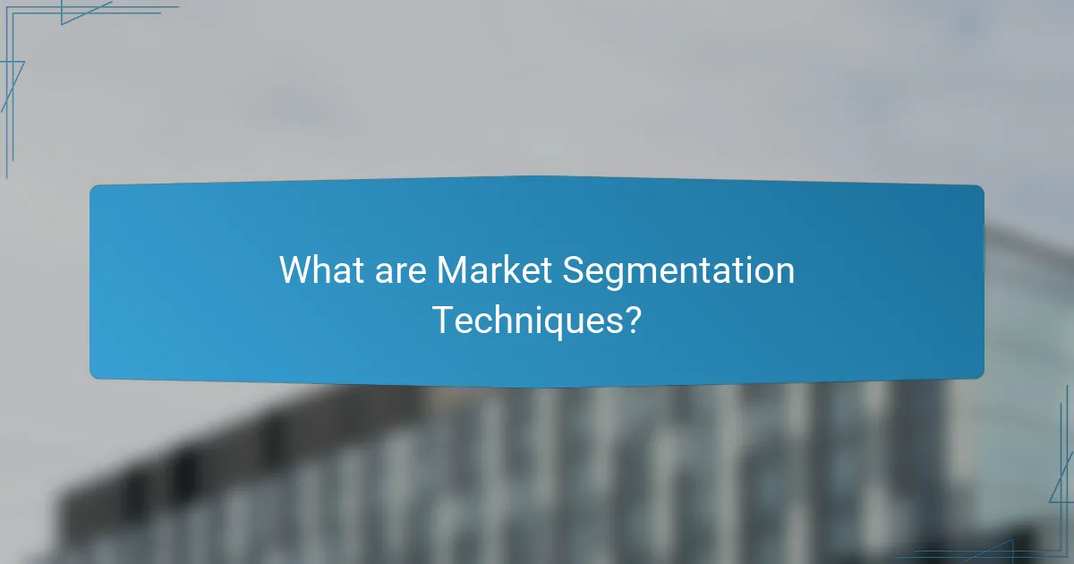What are Market Segmentation Techniques?