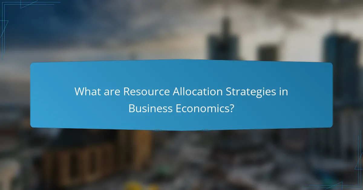 What are Resource Allocation Strategies in Business Economics?