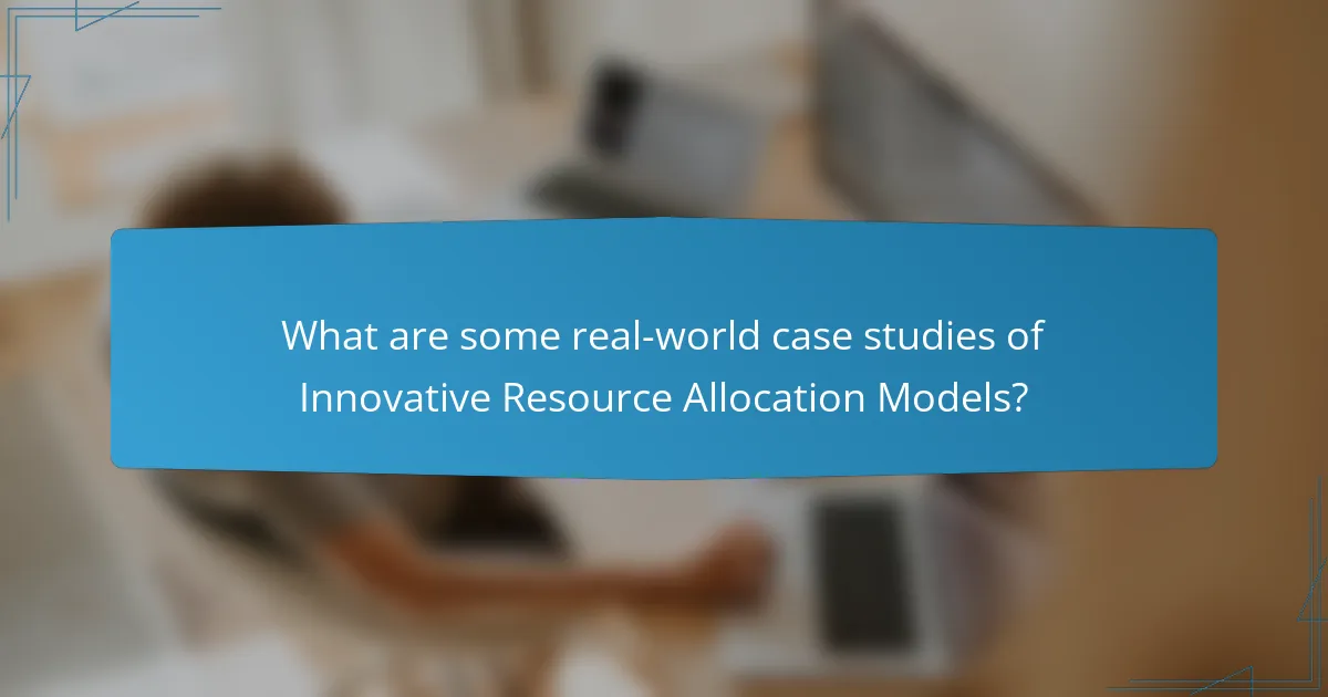 What are some real-world case studies of Innovative Resource Allocation Models?