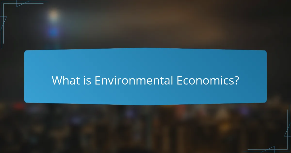 What is Environmental Economics?